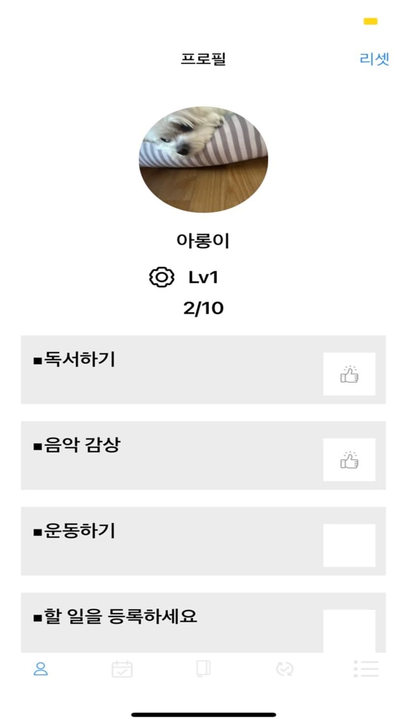레벨업 프로젝트 화면 1
