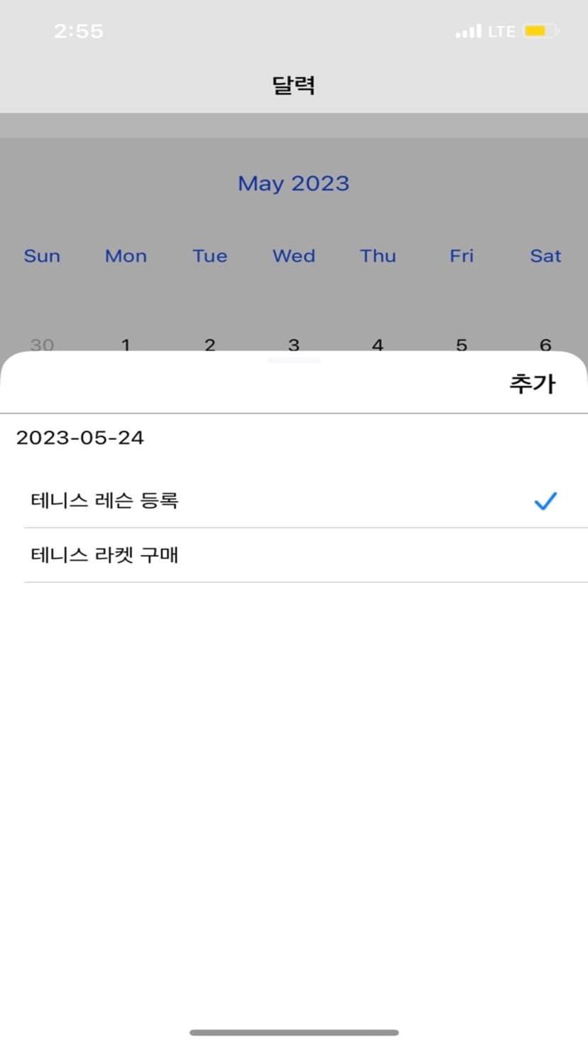 레벨업 프로젝트 화면 2